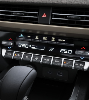 Dual-zone automatic air-conditioning with nanoeTM X pollen air filter & rear air vents